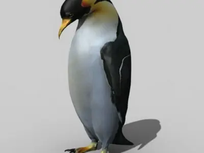 Penguin 3D model buy