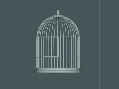 Bird Cage 3D model order