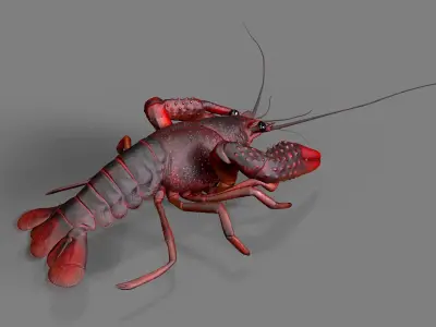 Lobster Rigged for 3Dmax Low-poly 3D model