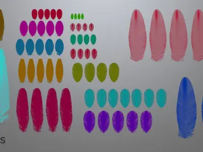 Feathers set for Macaw 3D model