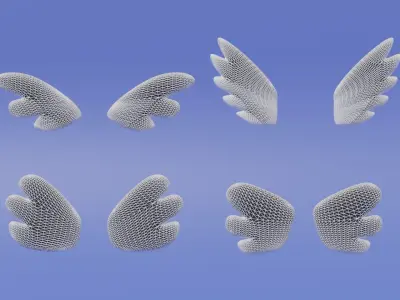 Cartoon Cute Wings Collection 3D model