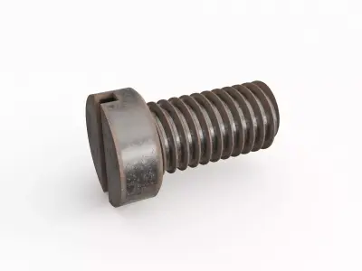 Screw 115 3D model