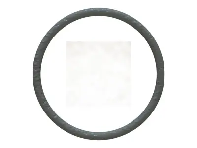 O Ring Vedabras 12156 3D model