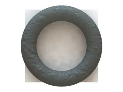 O Ring Vedabras 12310 3D model