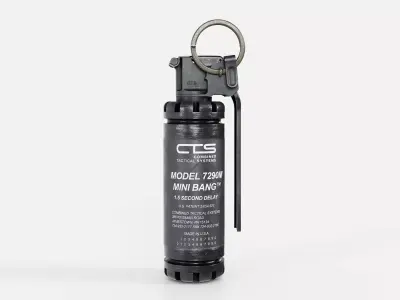 CTS 7290M Mini Flash Bang Grenade Low-poly 3D model