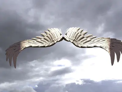 Serafim Wings 8  3D model