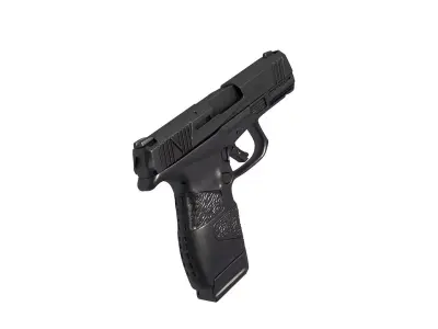 Mossberg MC2c Striker 3D print model