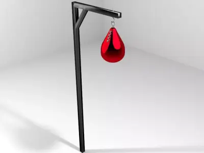 Martial-Art Training Equipment - Punching Ball 3D model