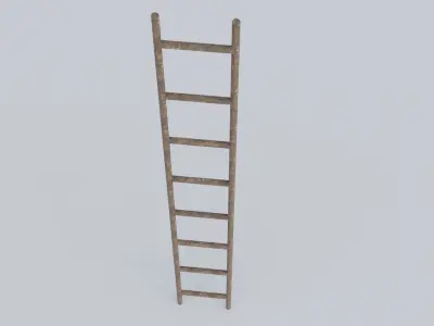 Wooden Ladder 3D model