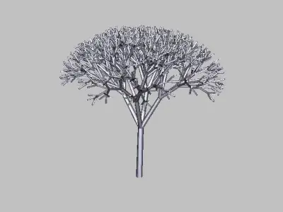 modelo silver tree Free 3D model