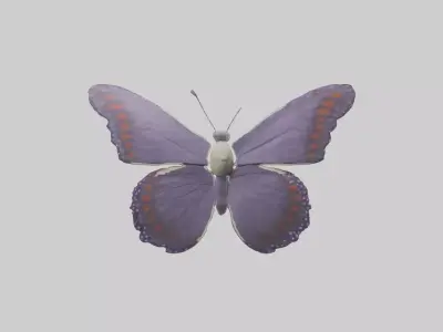 Butterfly Model 1 Low-poly 3D model