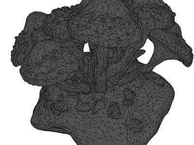 Bioluminescent Fantasy Mushroom Rock Cluster 3D model