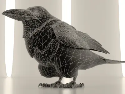 Bird Crow 3D model