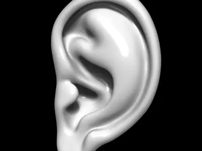 Ear Human 3D model purchase
