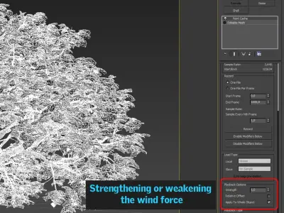 Coral reef ecosystem Animated 3D model