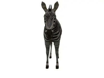 Zebra Low Poly For Games and VR Low-poly 3D model