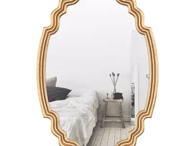 Broadmeadow Accent Wall Mirror ROSP5037 3D model