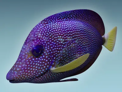 Zebrasoma Fish 5 3D model