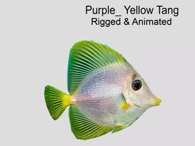 Purple Yellow Tang Realistic Animated Low-poly 3D model