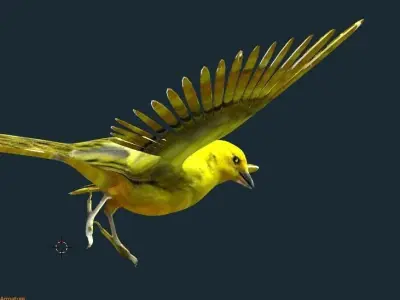yellow bird animated Low-poly 3D model