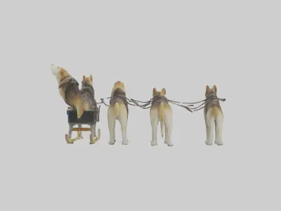 Chinook Dog sledding model Low-poly 3D model