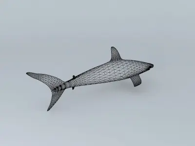 Shark Free 3D model buy