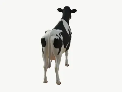 Realistic 3D Cow Model 