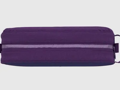 Cosmetic Bag 03 3D model