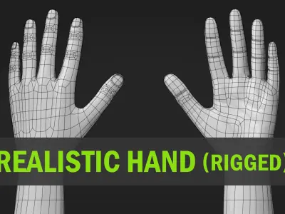 Realistic Hand-Rigged 3D model