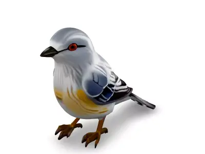 Realistic LowPoly Bird 3D Model Low-poly 3D model