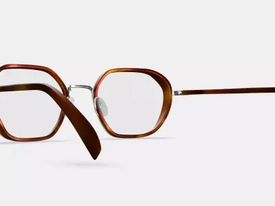 Levins Eyeglasses in Rye Tortoise Matte with Antique Silver 3D model