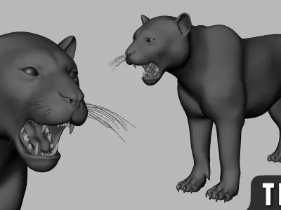 Tiger Topology Uv Map Free 3D model