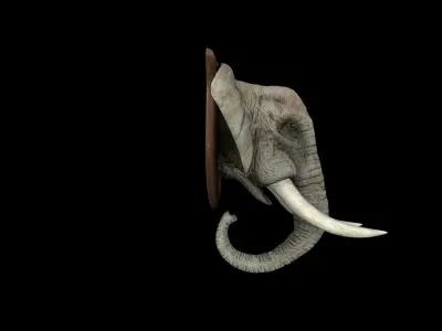 Elephant Head - PBR - Textured Low-poly 3D model
