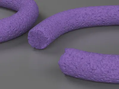 Puller Active Dogs Toy Torn 3D model