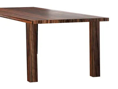 SPO African Walnut Table 3D model
