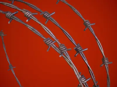 3D Barbed Wire Low-poly 3D model