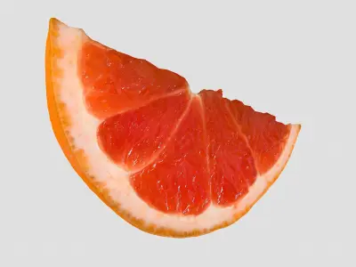 Slice of a Grapefruit 3D model