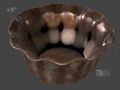 Copper Bowl 3D model