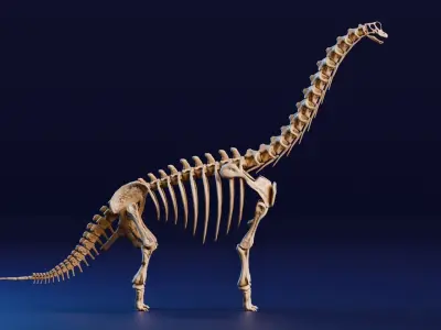 Realistic Ancient Reptilians Fossil - Brachiosaurus Low-poly 3D model