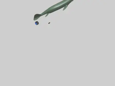 Electric Eel swimming model 3D model