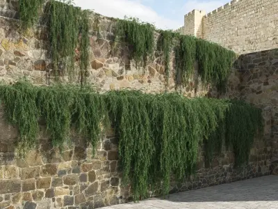 Rosemary Plants (+GrowFX) 3D model