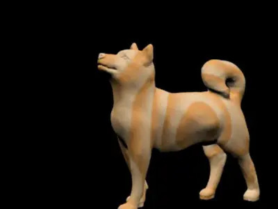 Husky shiba inu 3D model