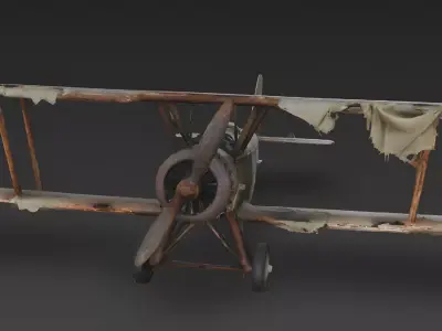 Realistic Wrecked Vintage Biplane 3D Model Low-poly 3D model