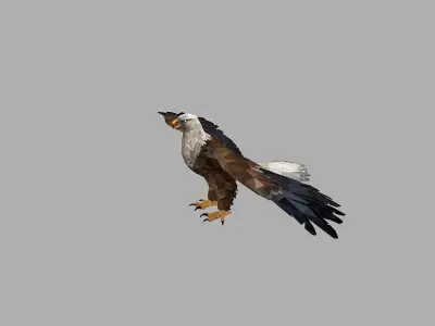 Bald Eagle Low Polygon Art Bird Animal Low-poly 3D model