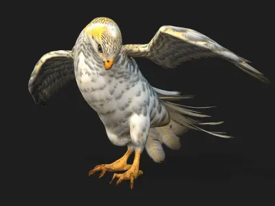Kestrel B7 3D model