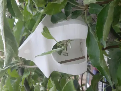 Longy Birdhouse Free 3D print model