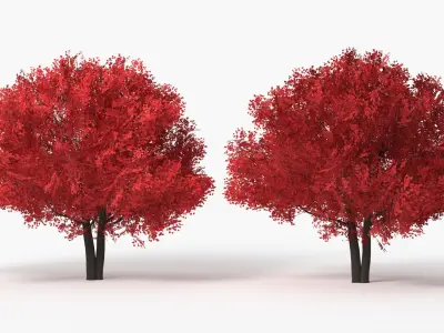  Realistic Lowpoly Red Maple Foliage Tree 