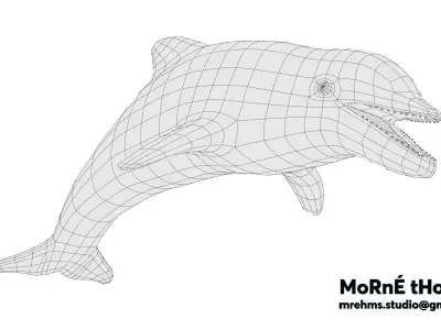 Dolphin Free 3D model buy