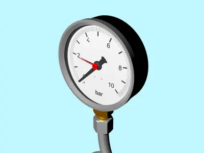 Pressure gauge and siphon tube 3D model
