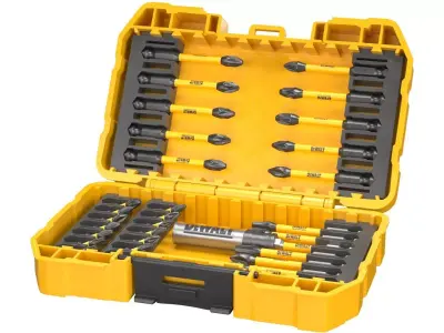 Dewalt FLEX TORQUE SCREWDRIVING BIT SET 25 PIECES Low-poly 3D model